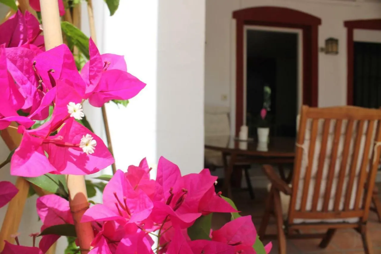 Rooftop Villa - Chalet En Cabo Pino Con Vistas Al Mar, Jardines Y Piscinaマルベーリャ 0*, マルベーリャ スペイン