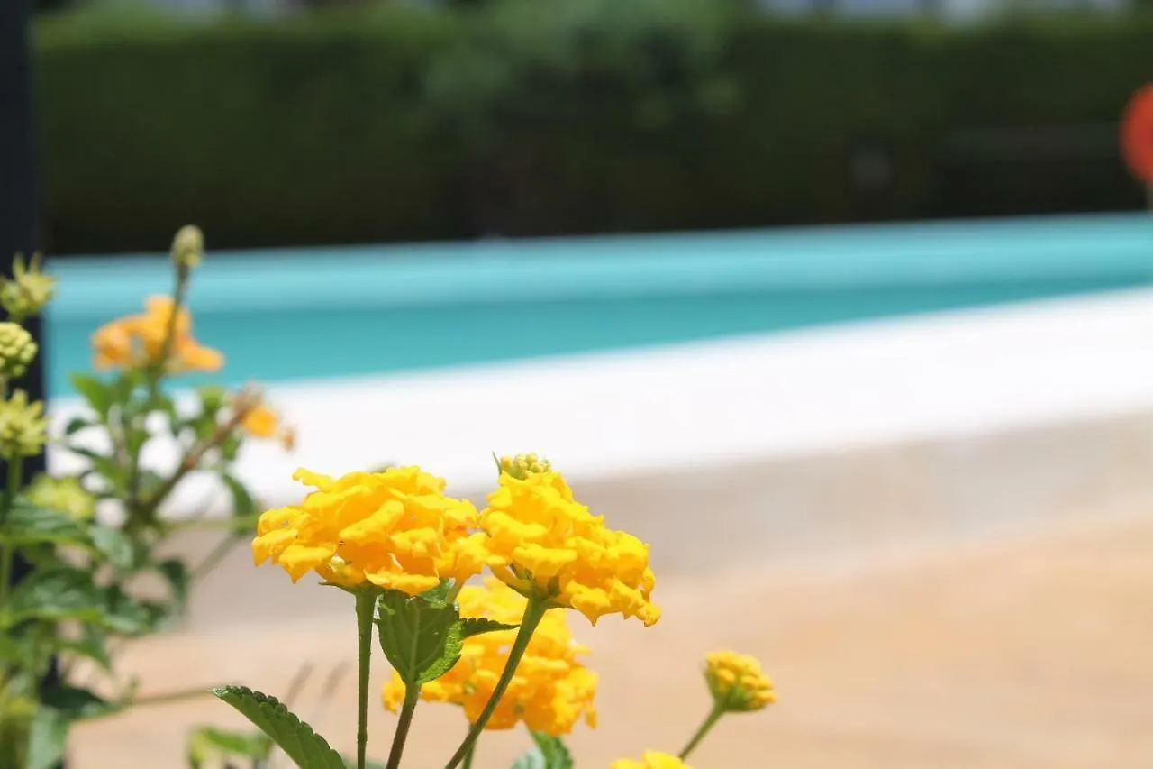 Rooftop Villa - chalet en Cabo Pino con vistas al mar, jardines y piscina Marbella Сasa de vacaciones